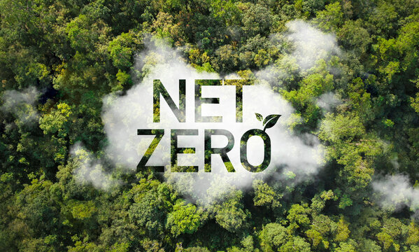 Neutral and net zero carbon emissions or CO2 for the 2050 target for a sustainable and green environment in nature, top view and green forest.