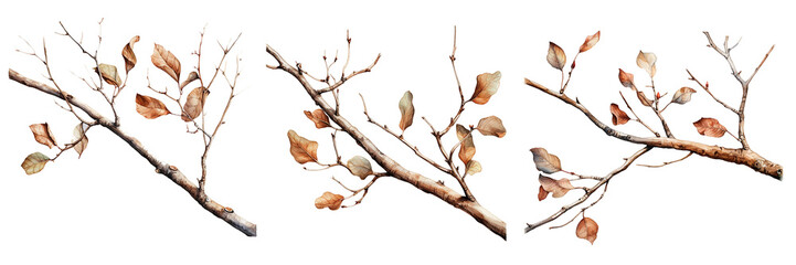 Collection of watercolor tree branches without leaves. Tree without leaves silhouette. For wedding Invitation, greeting card, save the date. Isolated on transparent background. Generative AI - obrazy, fototapety, plakaty