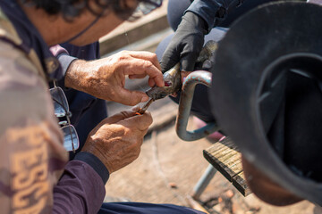 Fisherman removing the hook from the fish's mouth