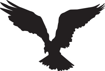 eagle in the sky,eagle in flight,bird, eagle, silhouette, vector, flying, animal, illustration, fly, hawk, black, wing, nature, wings, 