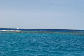 Fototapeta premium Snorkeling in the turquoise waters of the Red Sea. Crystal clear water.