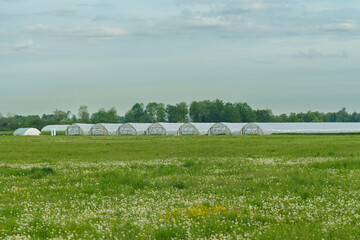 Greenhouses standing on the field. There is a green field ahead.