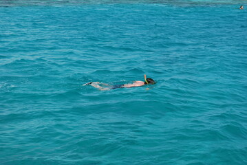 Snorkeling in the turquoise waters of the Red Sea. Crystal clear water.