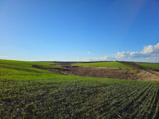 Fototapeta na wymiar A grassy field with a blue sky