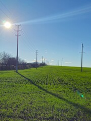 A grassy field with power lines with Codrington Wind Farm in the background