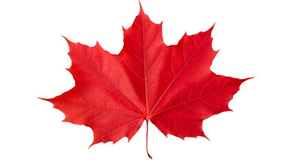 Naklejka na ściany i meble Red Maple Leaf Cutout Isolated on Transparent Background
