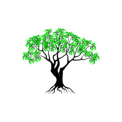 Mangrove tree root vector design, green leaves.