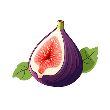 purple fig fruit cut open with leaves clip art preview