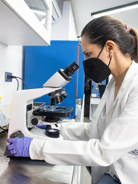 This photo shows a bioanalyst working in a laboratory. The bioanalyst is wearing a lab coat and safety glasses. They are using a microscope to examine a sample. The laboratory is well-lit and clean.