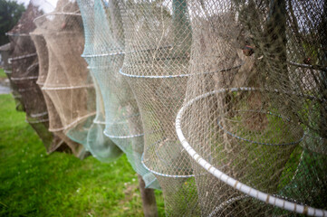 Fishing Nets in the Harbor