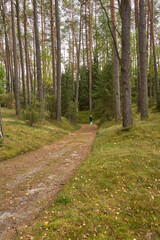 Obraz premium Drawieński Park Narodowy, Polskie Parki Narodowe