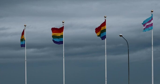 Rainbow flags for LGBTQ+ rights raised in the port of Reykjav&iacute;k, Iceland. Five colorful flags under a cloudy sky. Dark clouds of trouble on human rights. International peace flag and gay pride. 