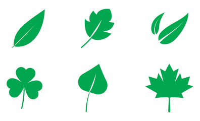 Green leaf icons set. Leaves icon on isolated background. Collection green leaf. Elements design for natural, eco, vegan, bio labels. Vector illustration EPS 10
