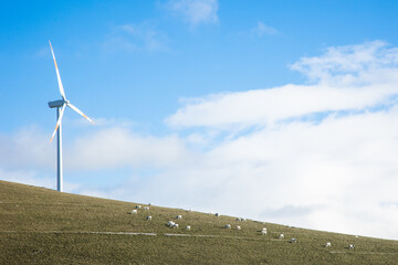 Fototapeta premium Wind farm with turbines on the mountains. Eco-sustainable industry with nature-friendly technologies for clean energy in a better environment. Conceptual mountainous landscape 