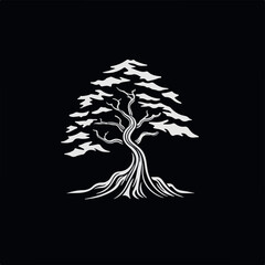 Obraz premium Illustration black and white logo of a redwood tree