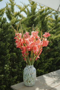 Vibrant pink gladiolus flowers in a decorative vase on a wooden table, set against lush green foliage.