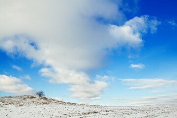 silhouette of lonely tree on the hill in Poland, Europe on sunny day in winter, amazing clouds in blue sky
