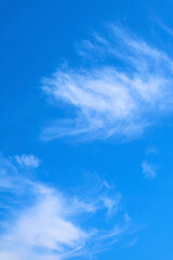 Feathery White Clouds Flowing on Vibrant Blue Sky