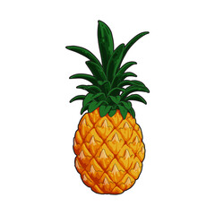 pineapple illustration vector art