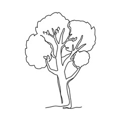 Continuous one line drawing of tree. Abstract silhouette in line art style. Vector, png of forest and garden symbol