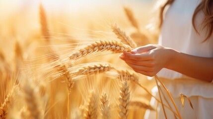 Close-up of a woman's hand in a wheat field with copy space, representing the harvest concept