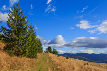 Kostrycha Mount Trail. Carpathians. Ukraine. Colorful autumn in the Carpathian mountains.
