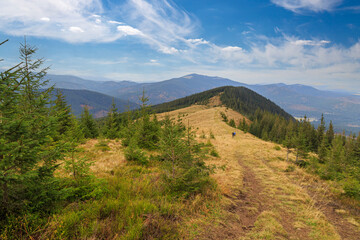 Kostrycha Mount Trail. Carpathians. Ukraine. Colorful autumn in the Carpathian mountains.