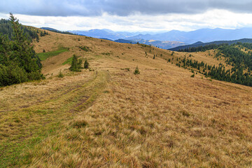 Kostrycha Mount Trail. Carpathians. Ukraine. Colorful autumn in the Carpathian mountains.