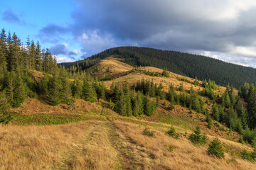 Fototapeta na wymiar Kostrycha Mount Trail. Carpathians. Ukraine. Colorful autumn in the Carpathian mountains.