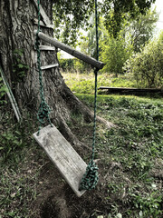 children's swing on a tree