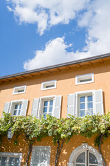 Fototapeta na wymiar Yellow facade of an ancient villa with white shutters entwined with green grapes
