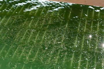 Reflection on the river. Green water surface. Reflection of light. Ripples and waves.
