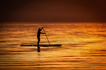 Paddle boarder silhouette 