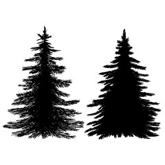 Set of Christmas fir trees vector sketch illustration