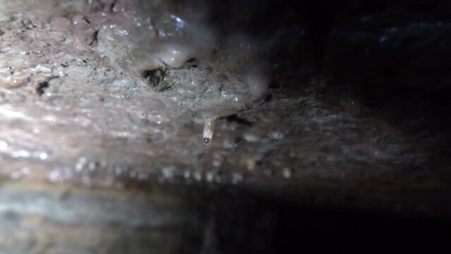 Frost on the ceiling of the winter quarry (high humidity), ice stalactite; pisolite or calc sinter, speleothem