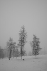 A  snowy and foggy day of rural Toten, Norway, in November.