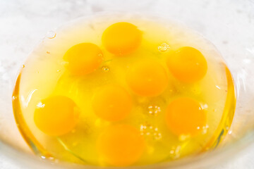 Egg bites