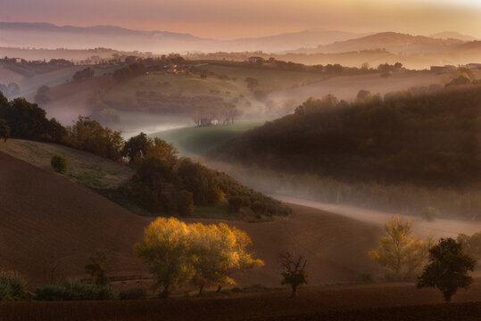 Alba Autunnale