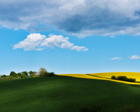 Colline in fiore