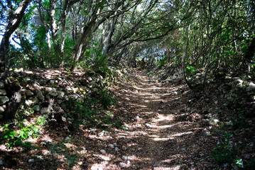 Il sentiero che collega la Badde Tolta a via Luna e Sole, nella città di Sassari 