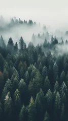  drone photo of a forest in Oregon and the Pacific Northwest on a foggy day, vertical orientation for social platforms  © @foxfotoco