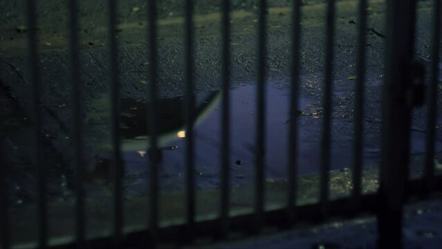 Una madrugada despu&eacute;s de la lluvia y un auto pasando 