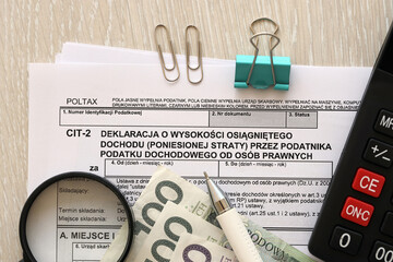 Declaration of the amount of earned income or incurred loss by corporate income tax payer, CIT-2...