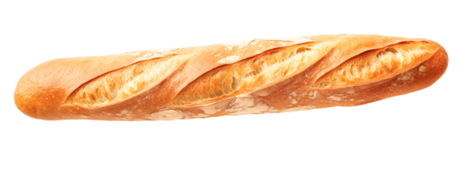 freshly baked baguette isolated on transparent background, top view, png
