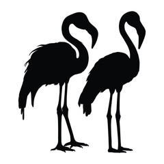 Beautiful Flamingo Silhouette on Pure White Backdrop