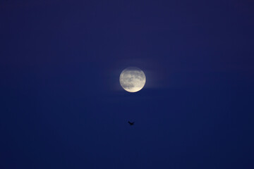 FULL MOON 10