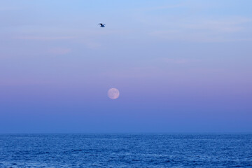 FULL MOON 2