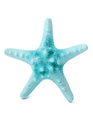 Starfish, turquoise, natural, dried, isolate on white background