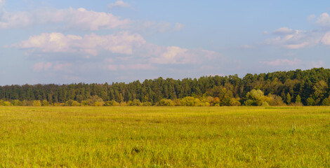 Panorama Autumn forest in front of a meadow against a blue sky. Autumn landscape