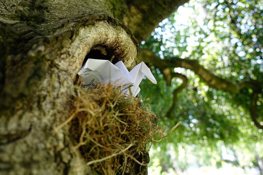 Papiervogel